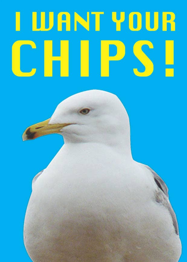I Want Your Chips Seagull Card